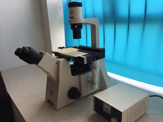 Trinokularny odwrócony mikroskop biologiczny do badań kultur komórkowych