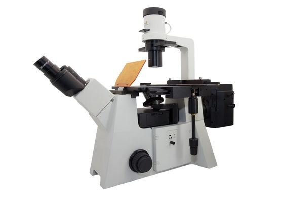 Trinokularne odwrócone mikroskopy fluorescencyjne z kamerą CCD