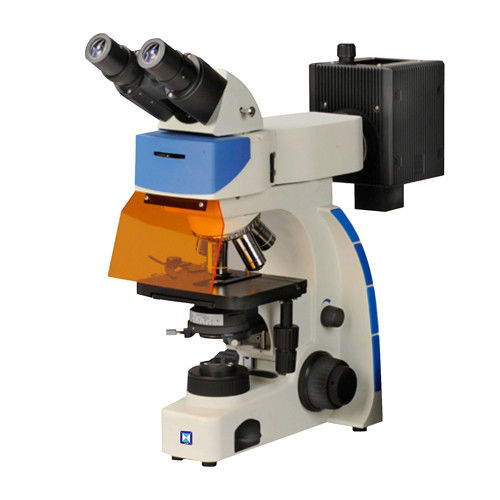 Dwuokularowy pionowy mikroskop fluorescencyjny LF-202