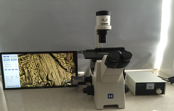 Trinokularny odwrócony mikroskop biologiczny do badań kultur komórkowych